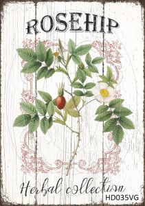 Декупажная карта А4 Hobby-decor, 55 г/м, HD035VG, Винтажная фоновая карта, цветы, шиповник ― Творча майстерня ДекоПарк