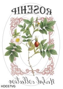 Декупажная карта А4 Hobby-decor, 55 г/м, HD037VG, Винтажная фоновая карта, цветы, шиповник (зеркальная) ― Творча майстерня ДекоПарк