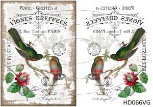 Декупажная карта А4 Hobby-decor, 55 г/м, HD066VG, Винтажная фоновая карта, почтовые открытки, птицы на ветке, белый фон (зеркальная) ― Творча майстерня ДекоПарк