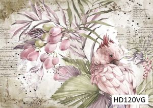 Декупажная карта А4 Hobby-decor, 55 г/м, HD120VG, Винтажная фоновая карта, Розовый попугай на ветке ― Творча майстерня ДекоПарк