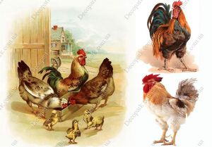Декупажная карта 1295 ― Творча майстерня ДекоПарк